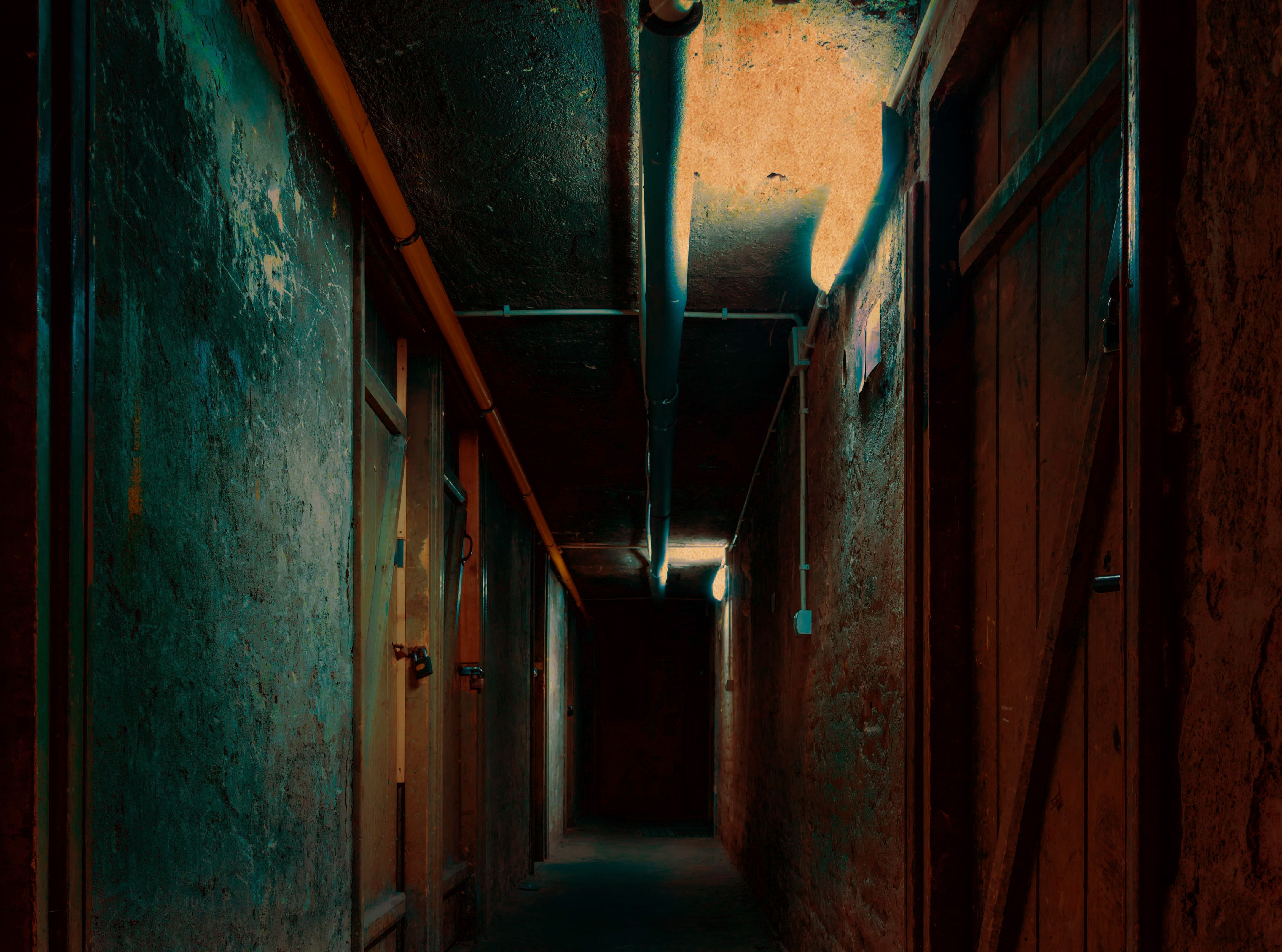 une photo d'une cave de film d'horreur 