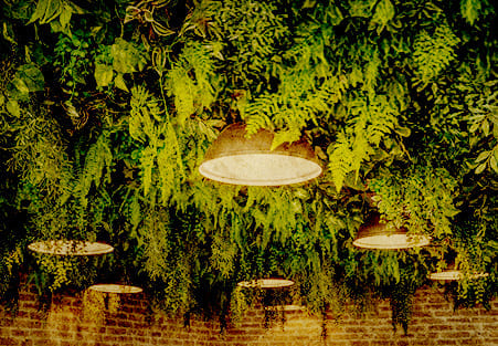 une photo d'un plafond eclaire avec de la verture accroché dessus